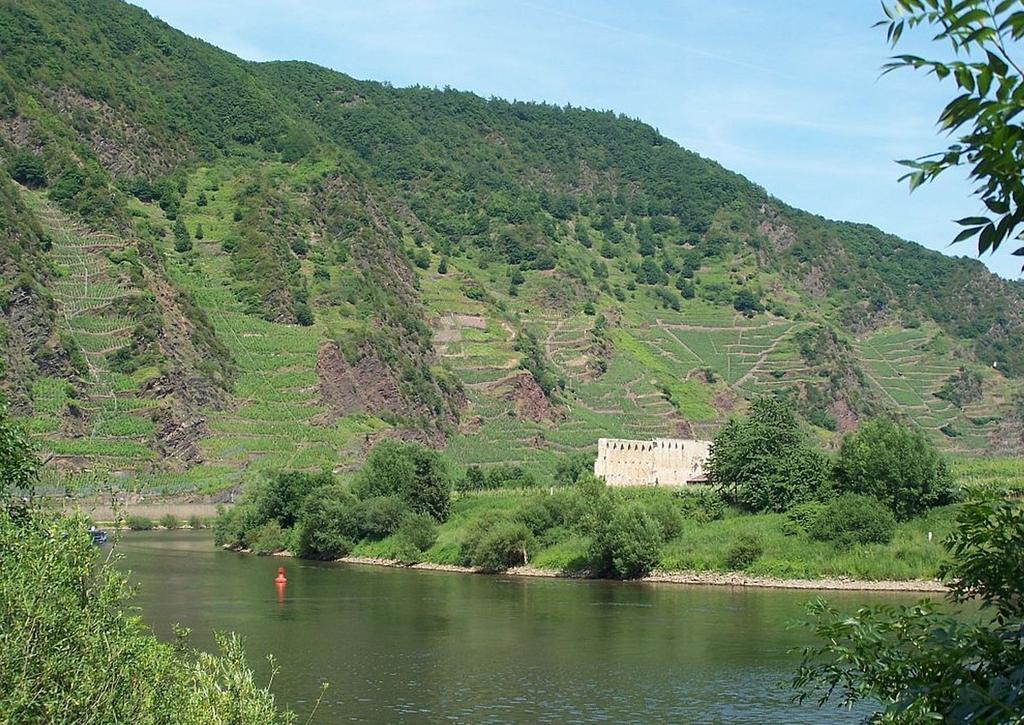 Mosellablick