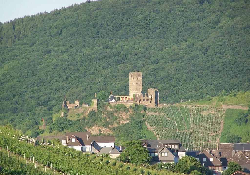 Mosellablick Pensjonat Briedern